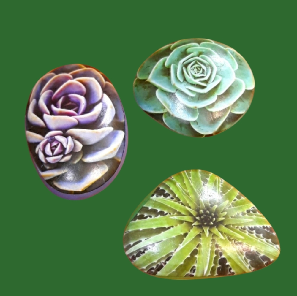 Succulent Art Rocks New - Picture 2 of 9
